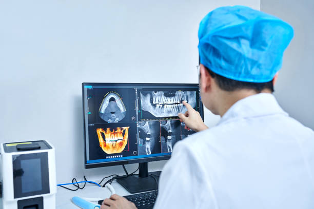 Best Emergency X-Rays and Diagnostics in Belington, WV